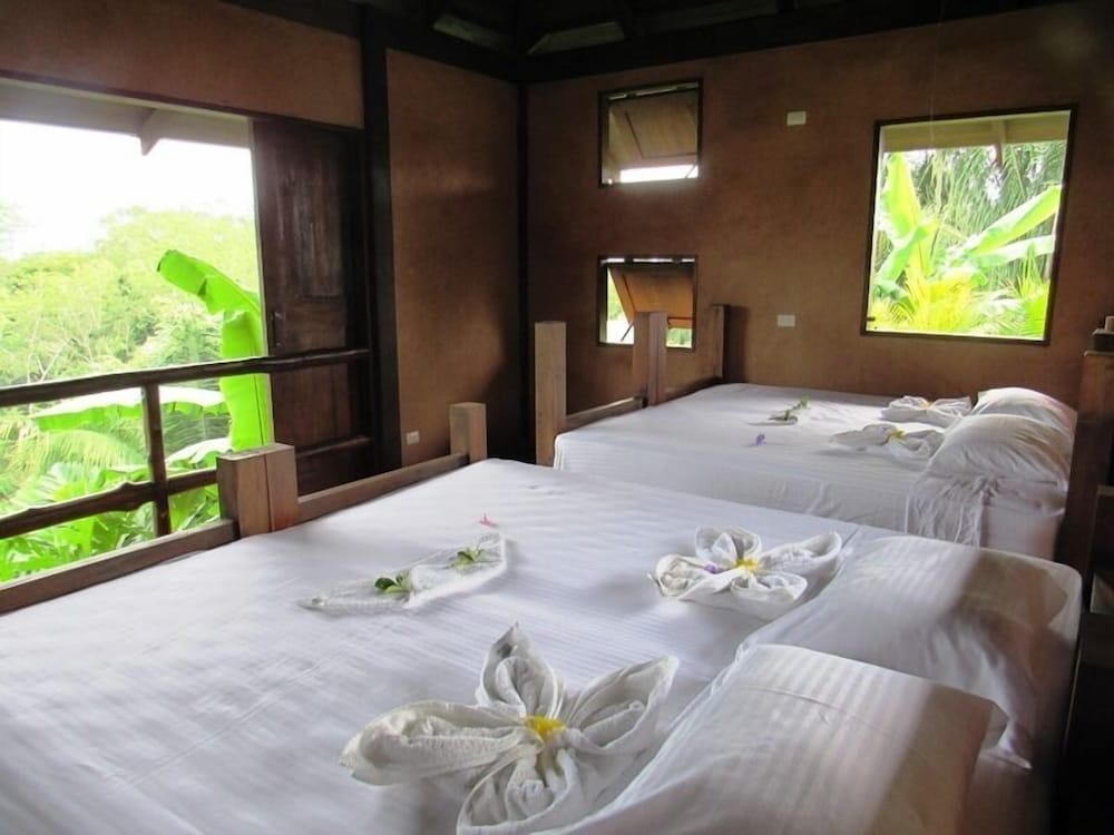 Basic Double or Twin Room, Multiple Beds, Mountain View photo 3