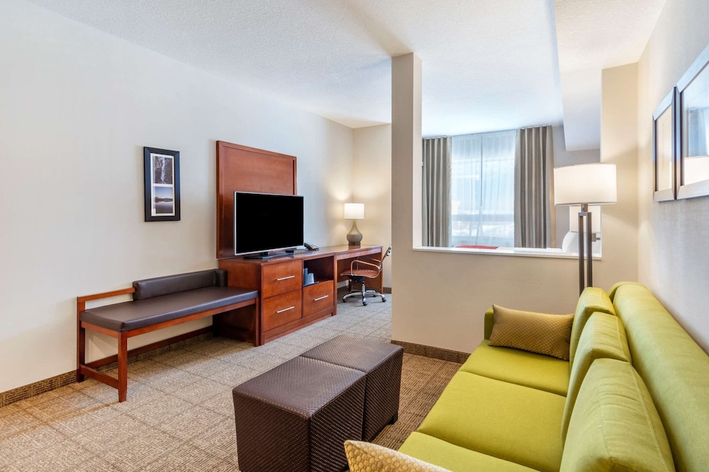Suite, 1 King Bed with Sofa bed, Non Smoking (Efficiency) - Photo 7