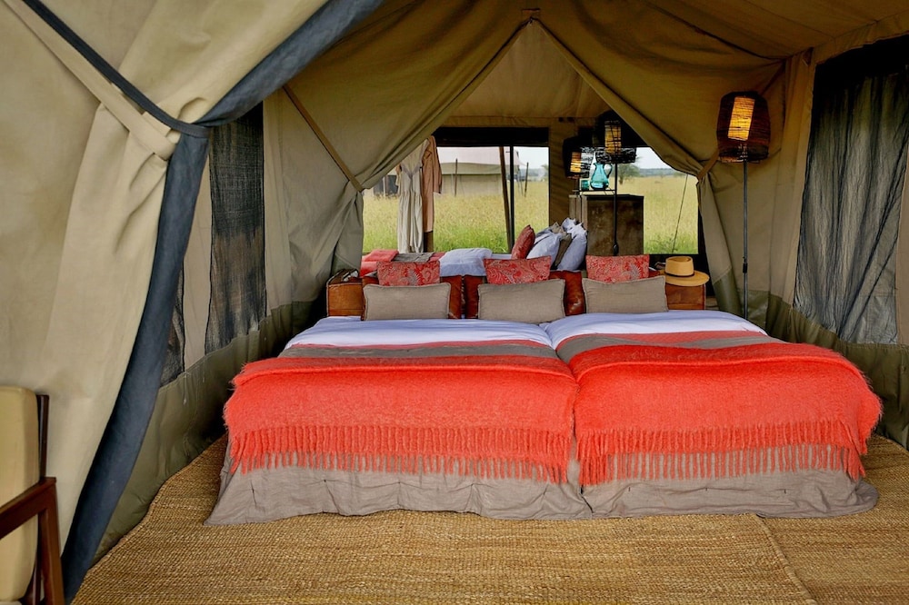 Junior Suite photo 1