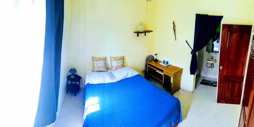 Basic Studio, Garden View