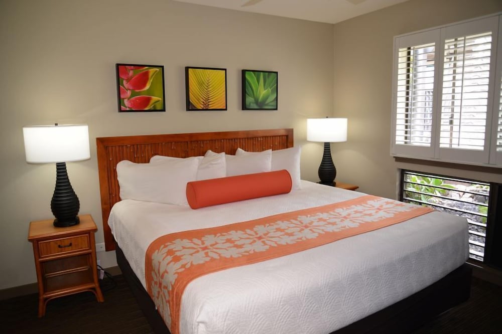 One Bedroom photo 2