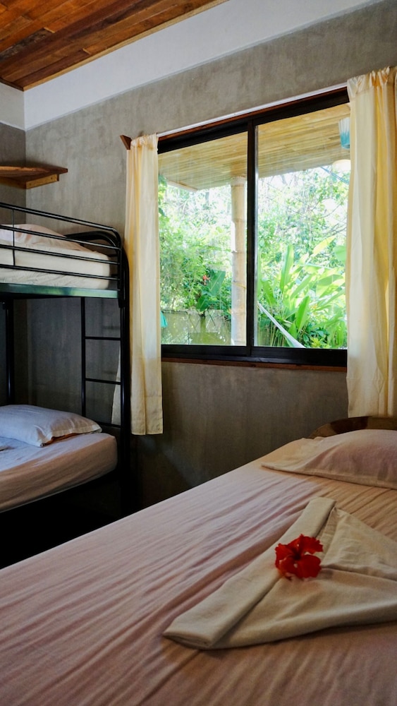 Comfort Apartment, 2 Bedrooms photo 3