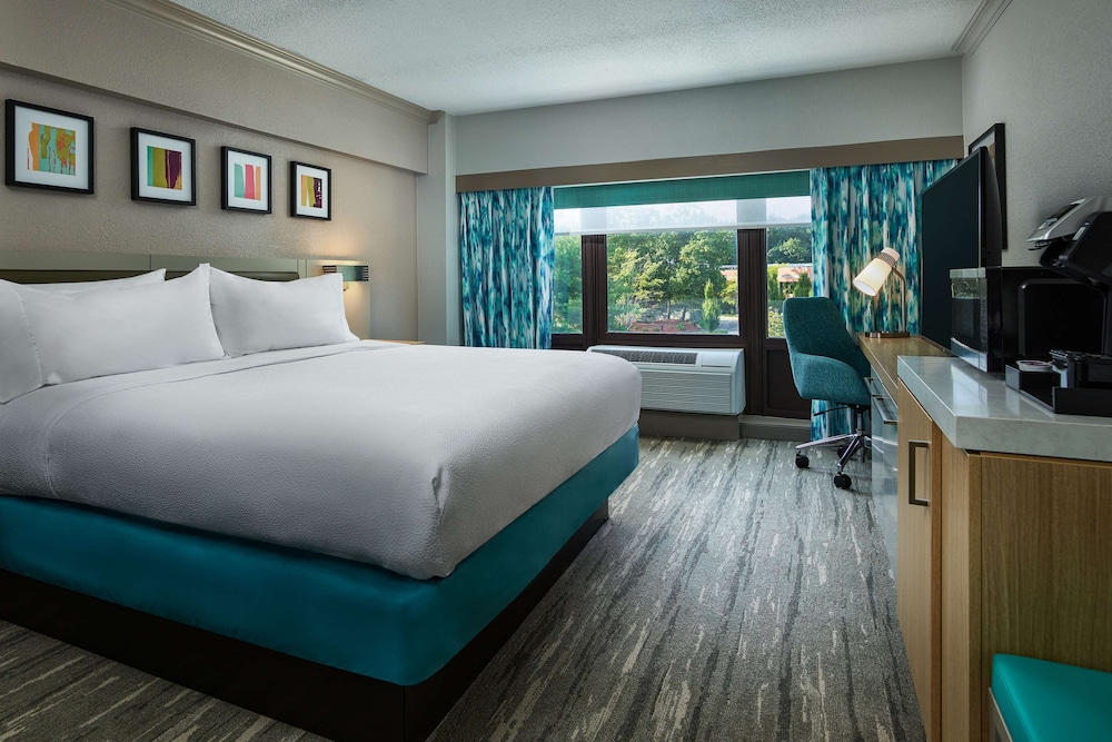 Room, 1 King Bed, Accessible, Bathtub (Mobility & Hearing) - Photo 4