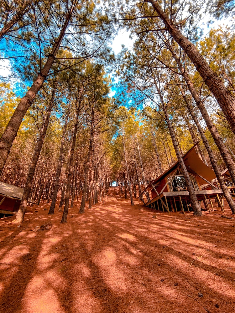Romantic Cabin, 1 Queen Bed, Lake View - Photo 10