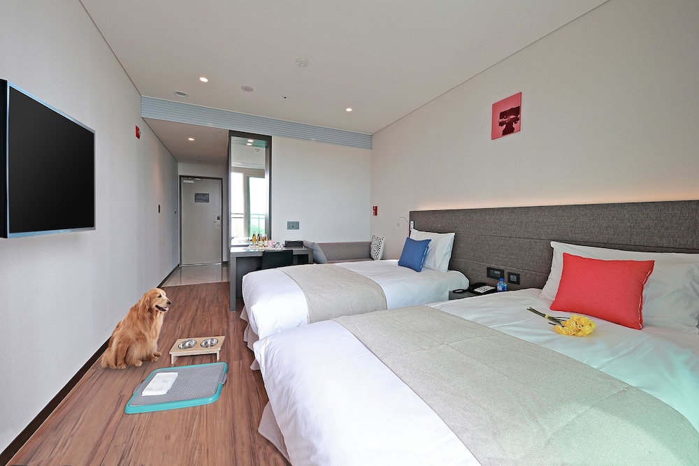 Premier Twin Pet Room, Park Ocean View/Terrace (Pet Room, Dog Only) - Photo 2