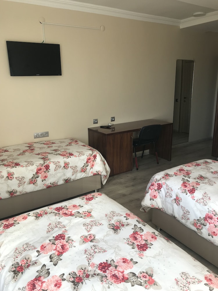 Basic Suite, Multiple Beds photo 3