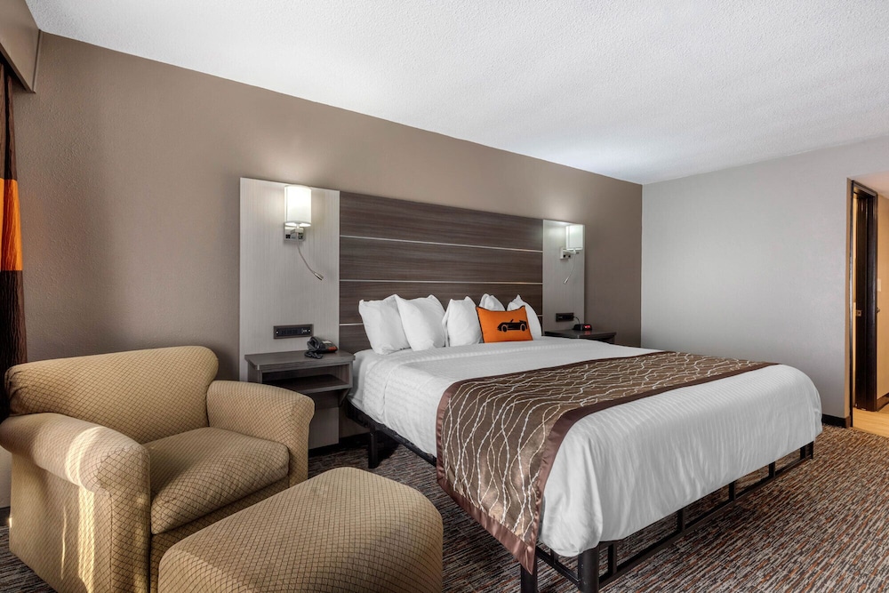 Standard Single Room, 1 King Bed, Non Smoking