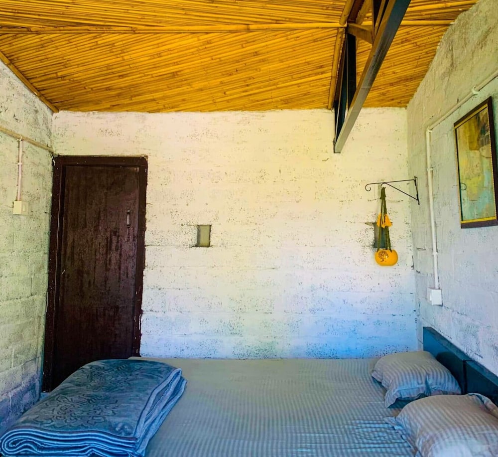 Blue Cottage photo 1