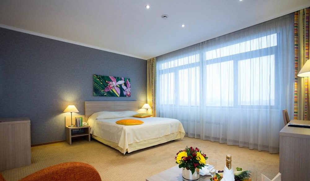 Deluxe Single Room photo 2