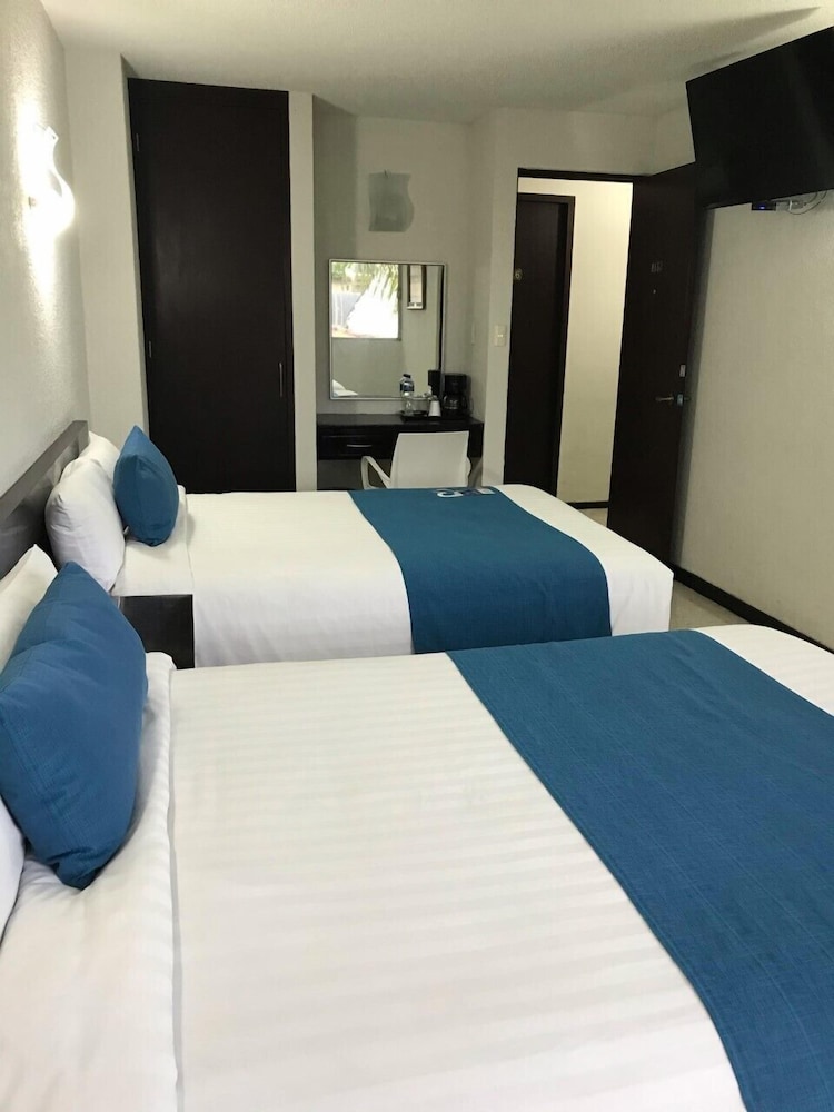 Executive Room, 1 Bedroom photo 2