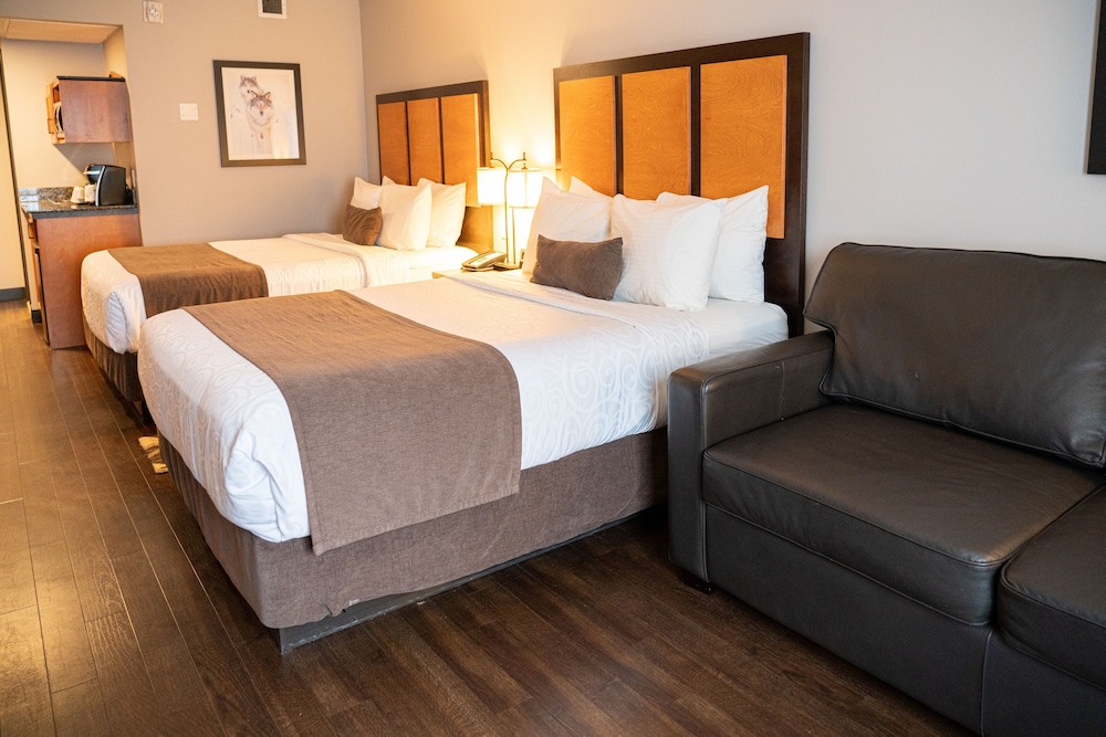 Superior Room 2 Queen Beds plus sofabed photo 3