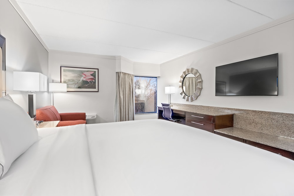 Deluxe Room, 1 King Bed - Photo 3