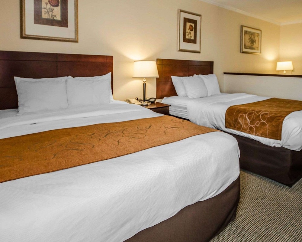 Suite, Multiple Beds, Non Smoking - Photo 4