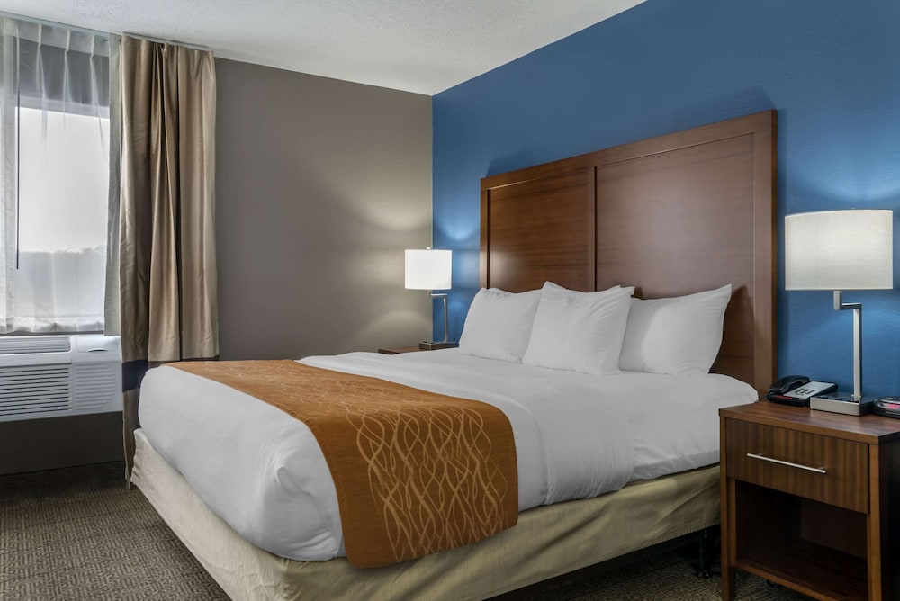 Suite, 1 King Bed, Jetted Tub - Photo 4
