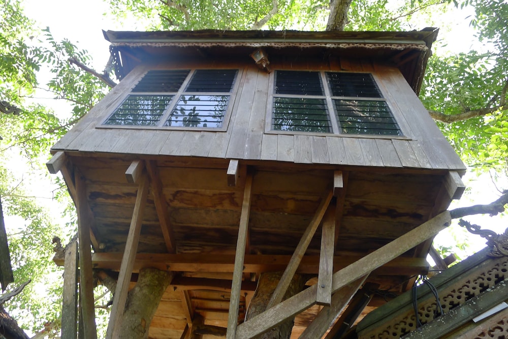 Tree House (Fan, Share bathroom) photo 2