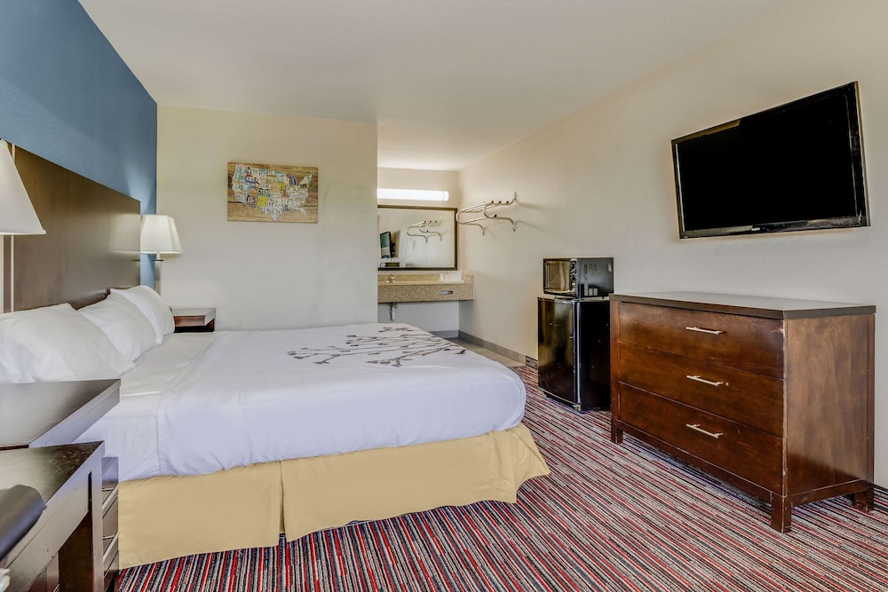 Standard Room, 1 King Bed, Non Smoking - Photo 6