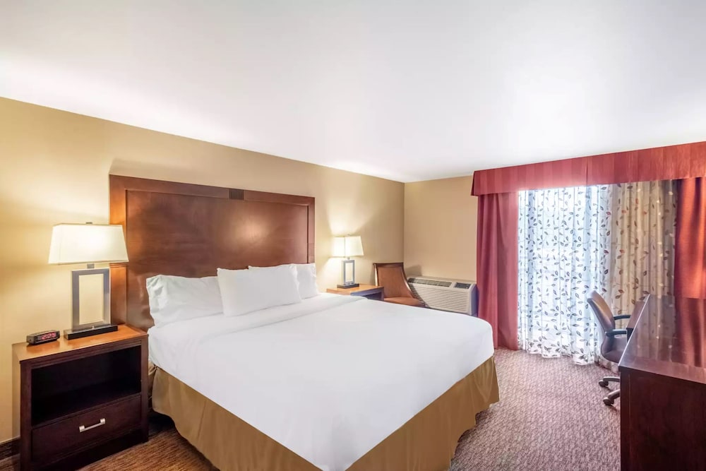 Standard Room, 1 King Bed, Roll-in Shower (Mobility Accessible) - Photo 3