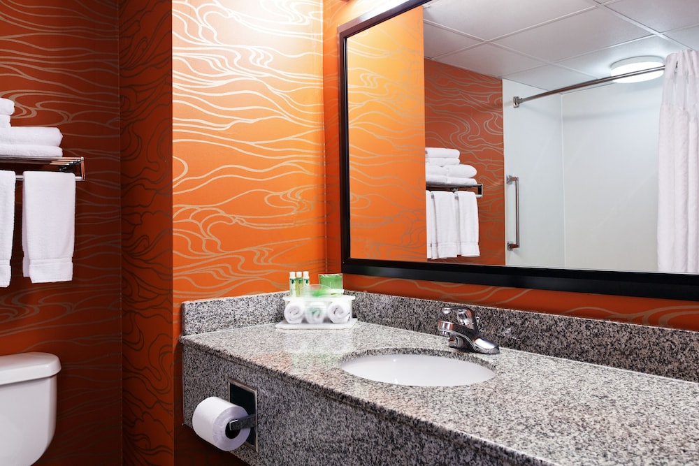 Standard Room, 1 King Bed, Accessible Bathtub (Mobility) - Photo 6