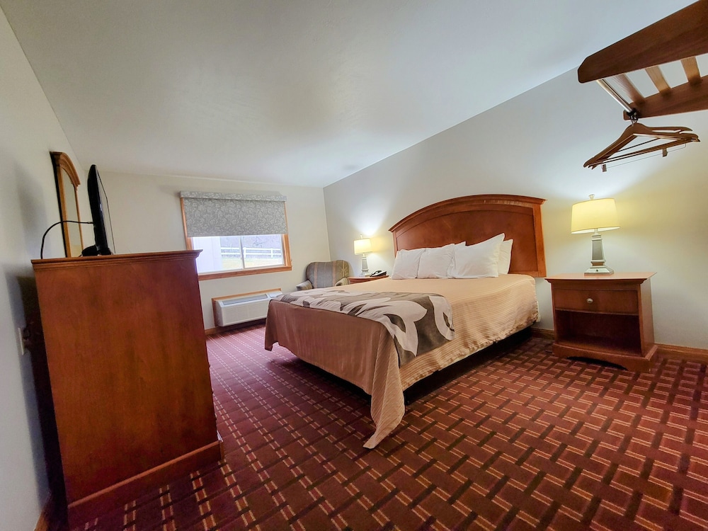 Standard Room, 1 King Bed, Non Smoking, Refrigerator & Microwave photo 1
