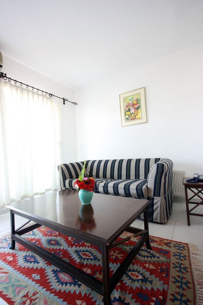 Standard Apartment photo 2