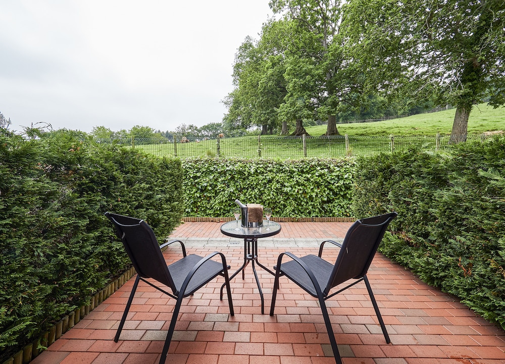 Twin Room (Shared Terrace) photo 2