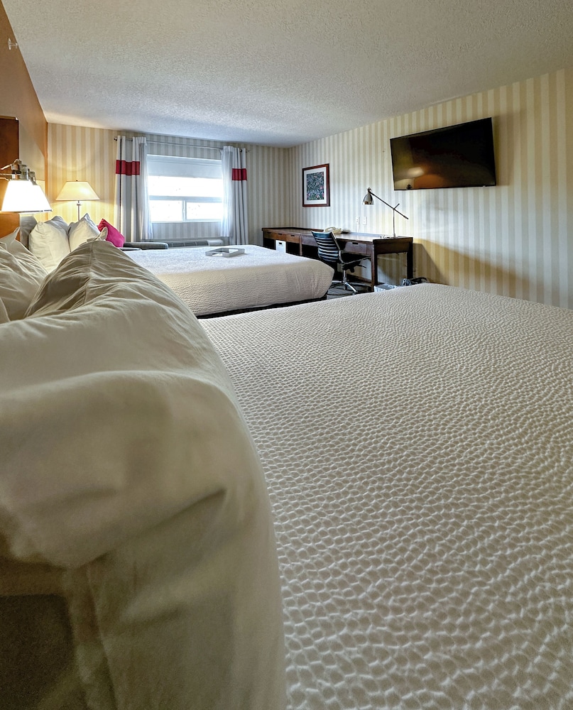 Premium Room, 2 Queen Beds, Pets Allowed photo 3