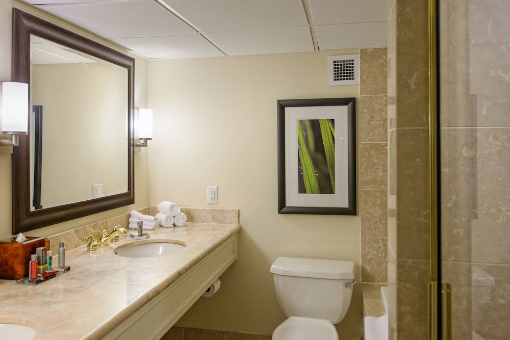 Deluxe Room, 2 Double Beds - Photo 4