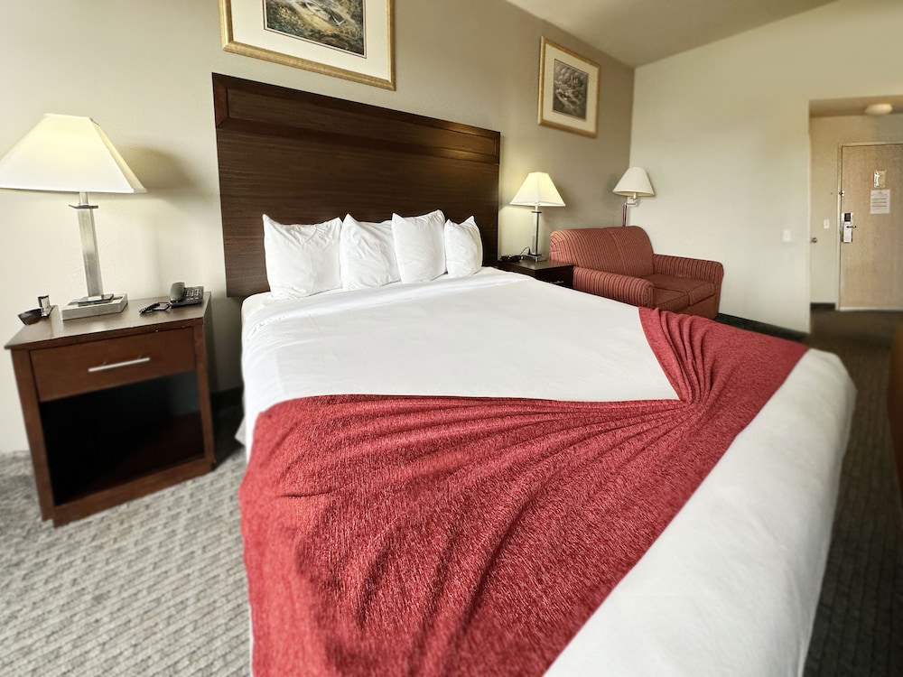 King Room photo 2