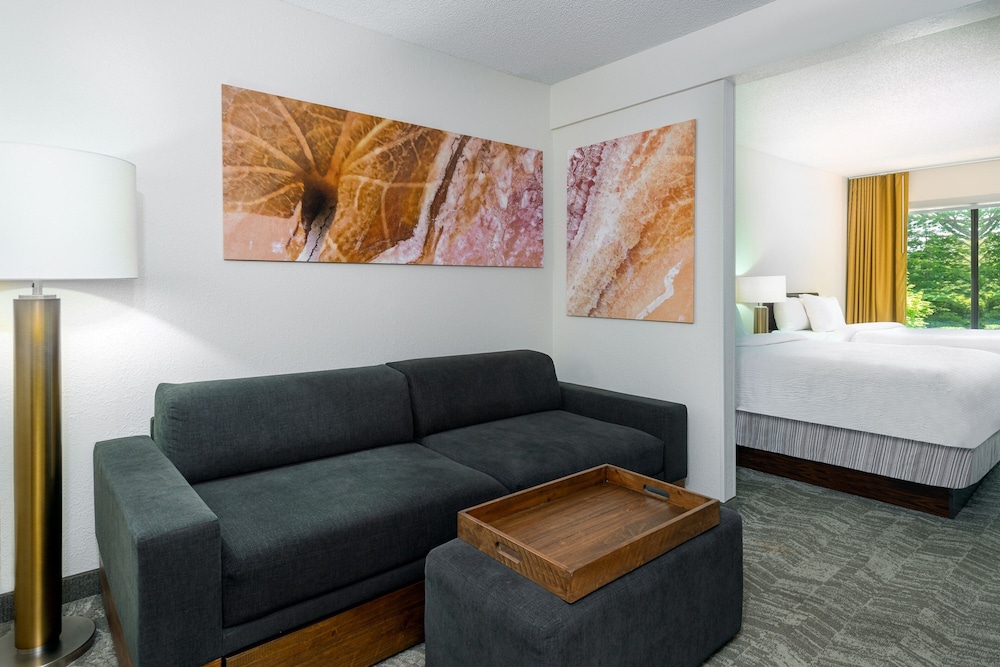 SpringHill Suites Asheville, Foto 5