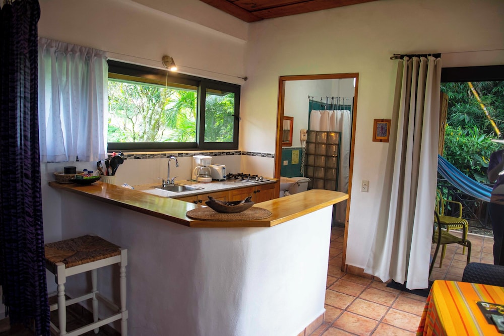 Lower Suite photo 2
