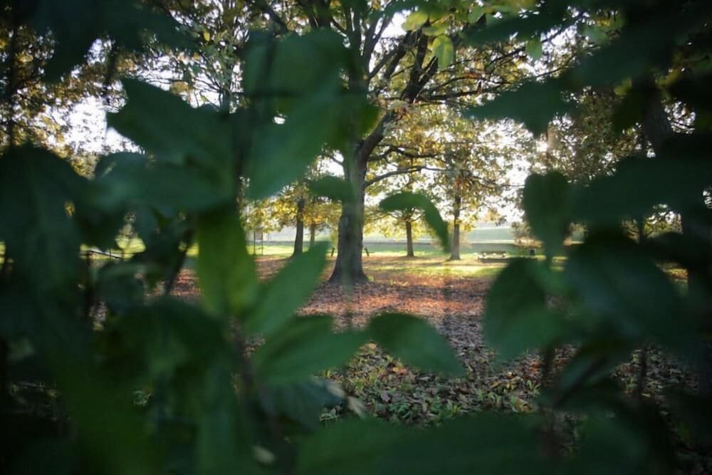 Huone Vieraiden Huone - Alba Village Hotelli Huone Twin Sängyt, Kuva 41