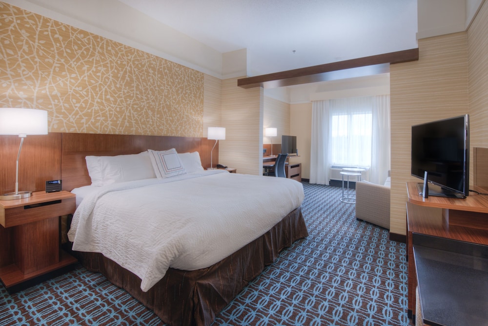 Suite, 1 King Bed with Sofa bed