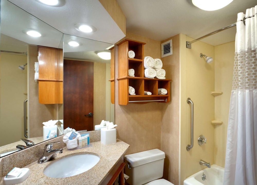 Room, 1 King Bed, Accessible, Non Smoking - Photo 4