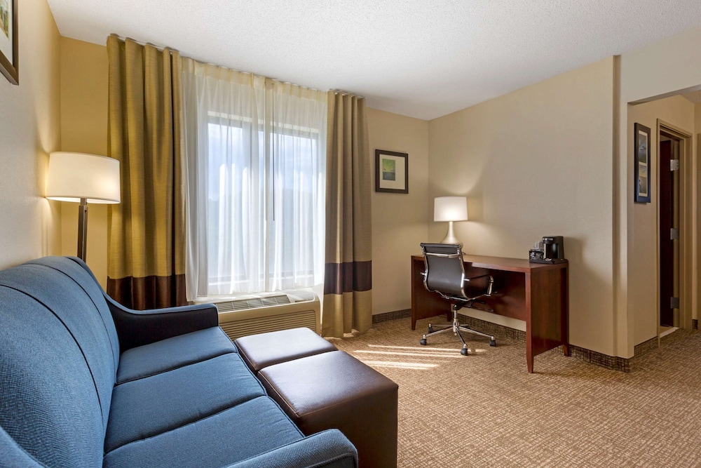 Suite, 1 King Bed with Sofa bed, Non Smoking - Photo 3