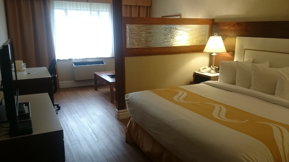 Suite, 1 King Bed with Sofa bed, Non Smoking photo 2
