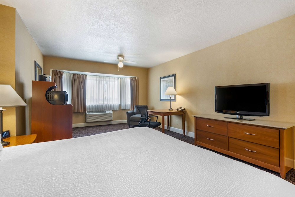 Standard Room, 1 King Bed, Fireplace, Pool View - Photo 1
