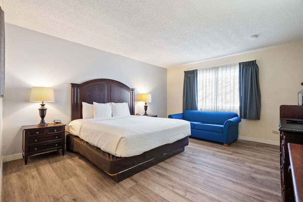 Standard Single Room photo 1
