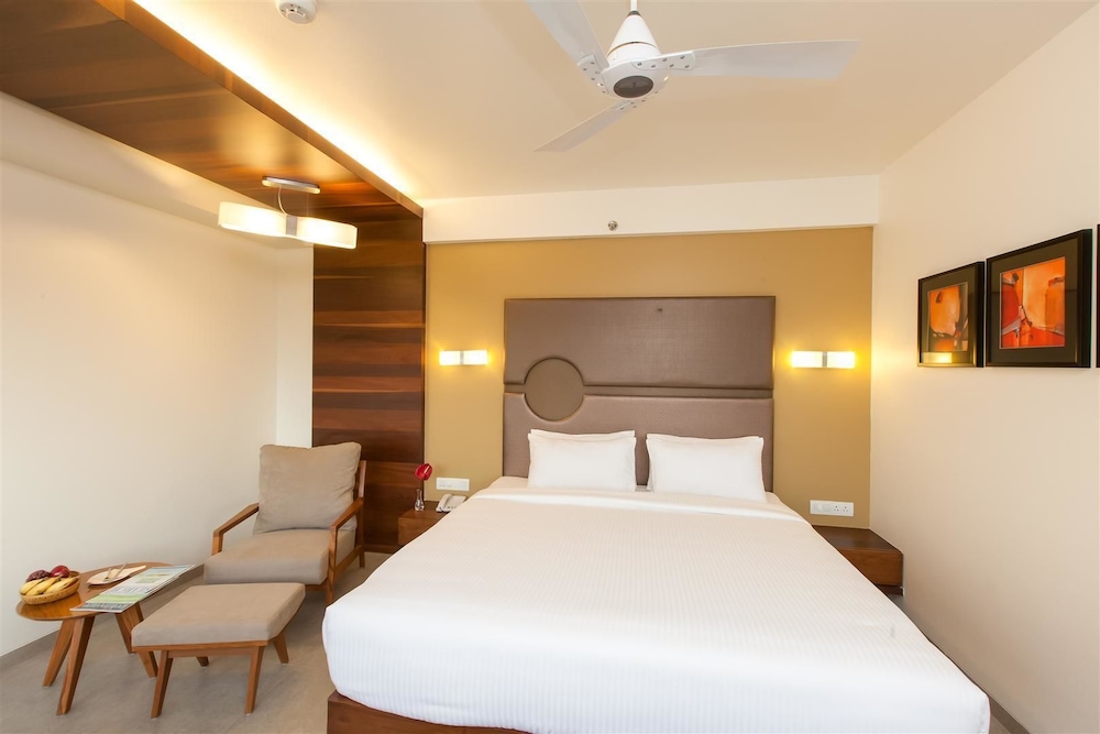 Deluxe Room photo 3