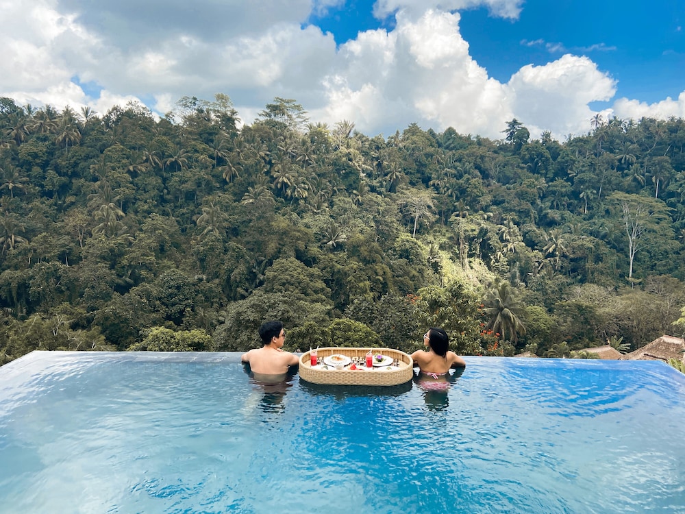 Villa, 1 Bedroom, Private Pool (srikandi Pool Villa)