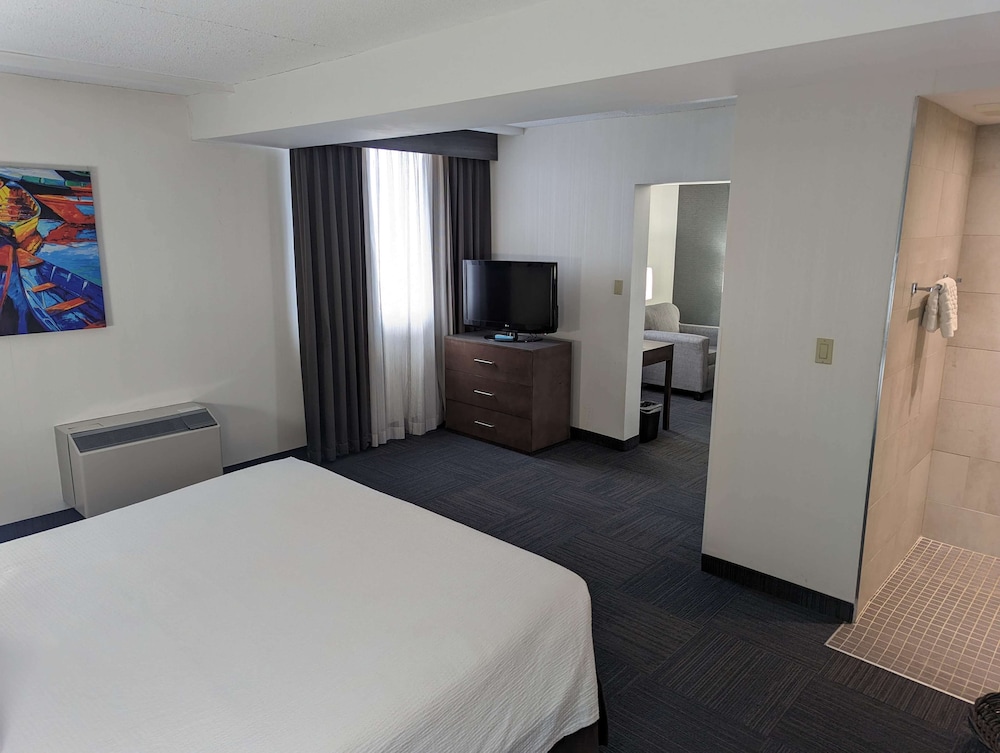 Suite, 1 King Bed, Non Smoking, Jetted Tub (Separate Living Room)