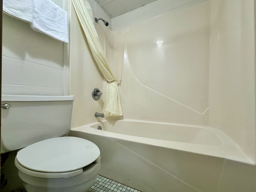 Standard Single Room, 1 Queen Bed photo 3