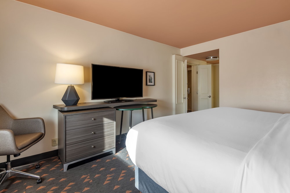 Suite, 1 Bedroom - Photo 3