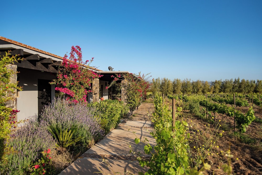 Deluxe Cottage, Vineyard View photo 1
