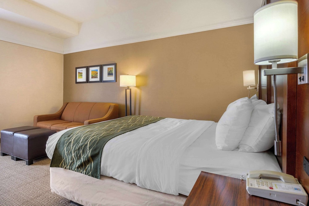 Standard Room, 1 Queen Bed with Sofa bed, Non Smoking - Photo 5