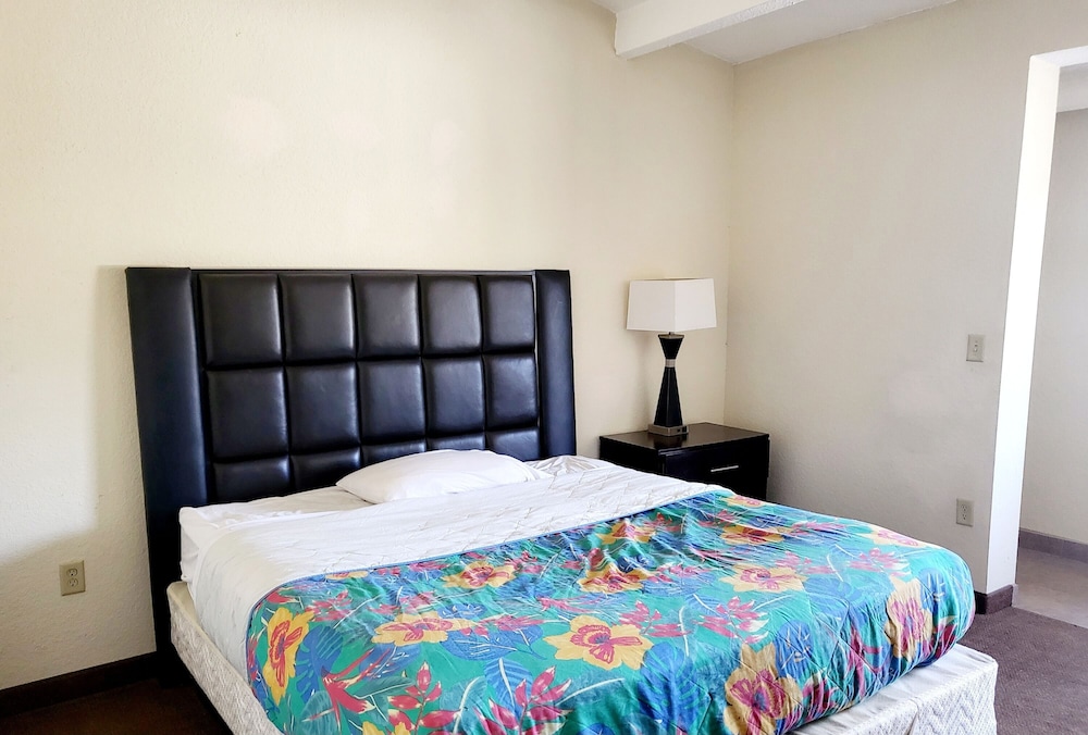 Basic Single Room, 1 King Bed