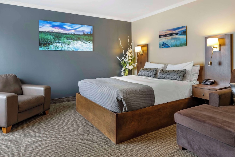 Standard Room, 1 Queen Bed, Non Smoking (Top Floor)