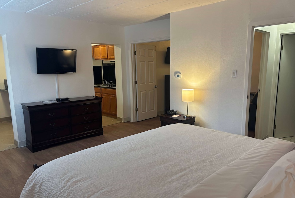 Suite, 1 King Bed, Non Smoking - Photo 1
