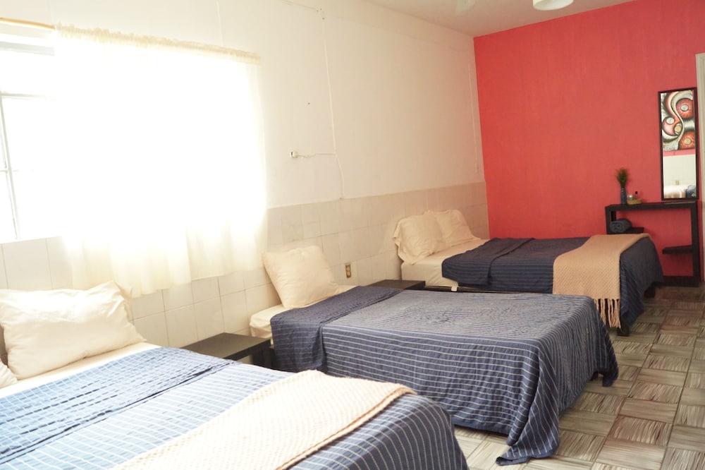 Room, Multiple Beds photo 3