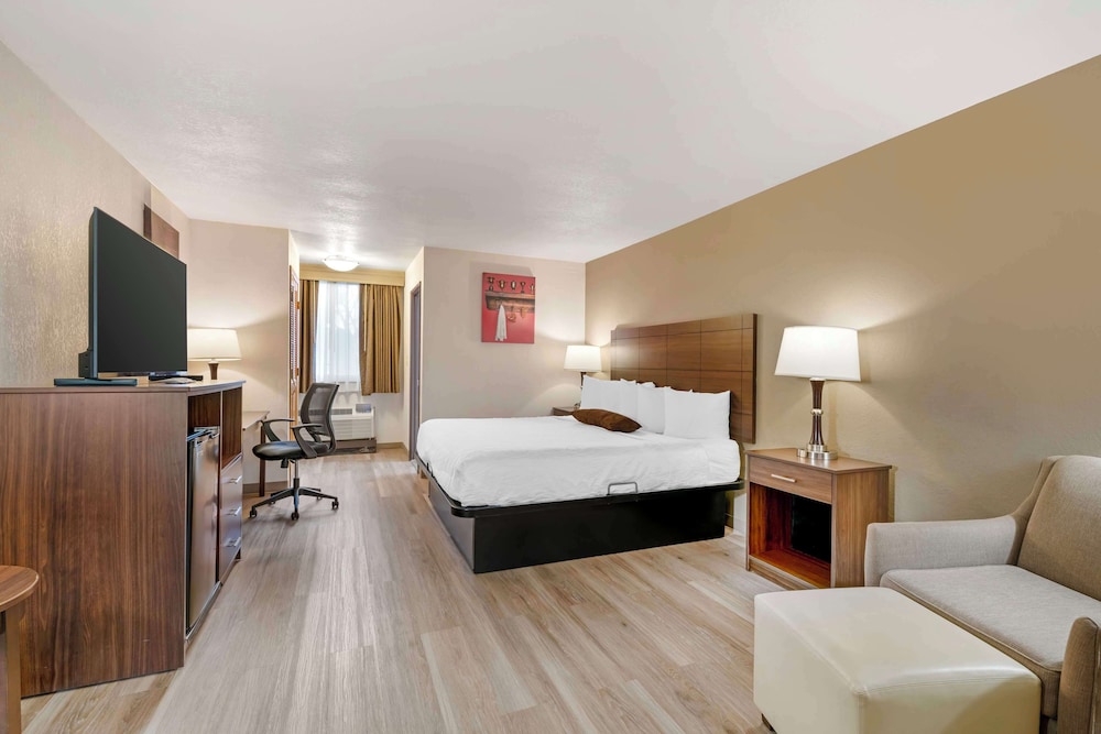 Standard Room, 1 King Bed, Non Smoking, Refrigerator & Microwave (1st Floor) - Photo 3