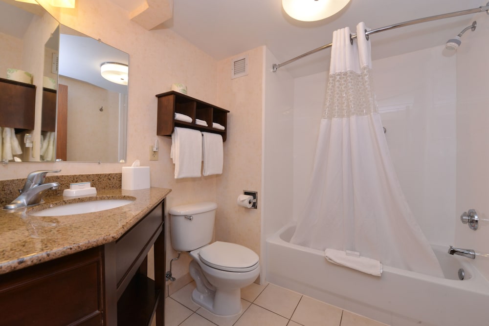 Suite, 1 King Bed, Kitchen - Photo 9